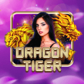 Dragon Tiger magicjili